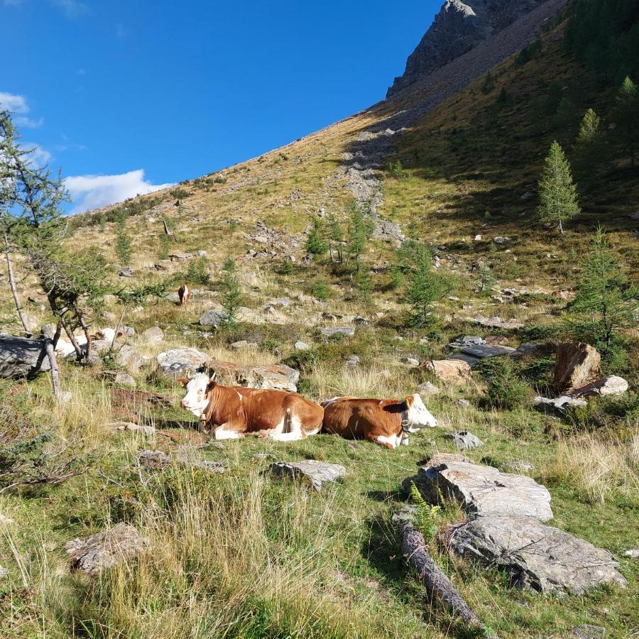 Ausserwalderhof Innervillgraten Buitenkant foto